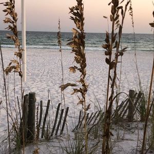 Meet your Posher, Toni